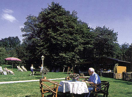 Bei schönem Wetter bietet sich der große, ruhig gelegene Garten hinter dem Haus an. Sollte das Sauerländer Wetter mal nicht mitspielen, so können Sie Ihre Freizeit in unserem großzügigen Wintergarten verbringen.