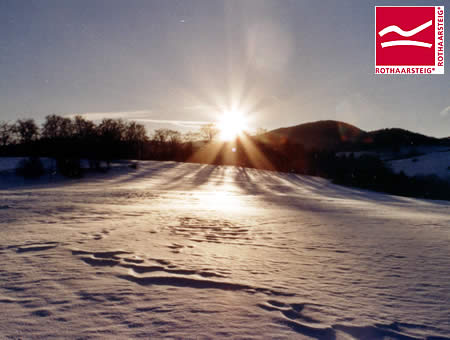 Über 200 km markierte Wanderwege direkt am Rothaarsteig sorgen hier für Abwechslung.